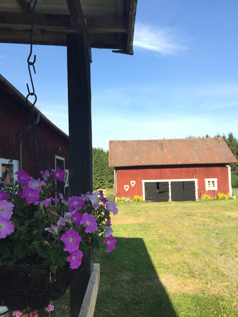 Välkommen till Lilla Asphult!